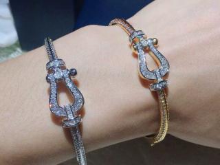 ダイヤモンドの付いたワイヤと馬蹄のバックルス フレッド スーパーコピーFred 10